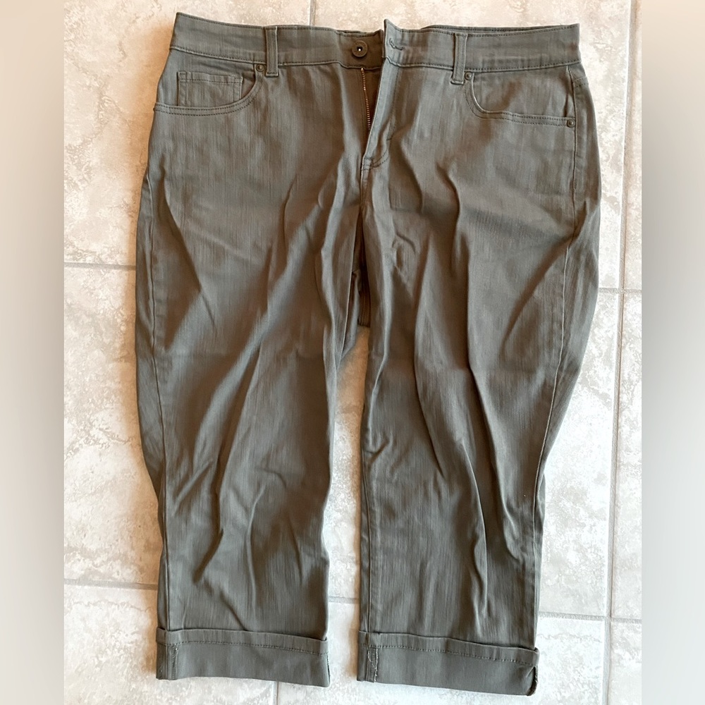 Style & Co Curvy Capri.